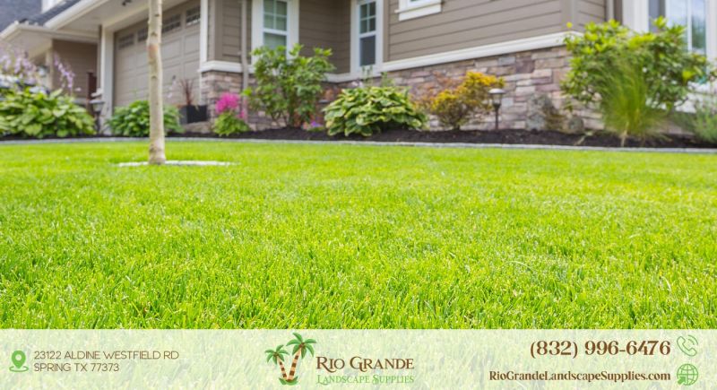 Discovery Bermudagrass Supplier In Houston